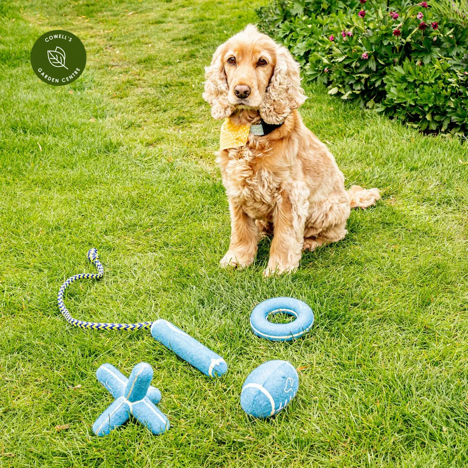 Dog toys for cheap the garden