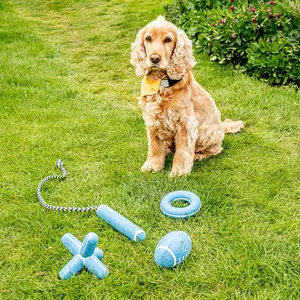 Dog Rugby Tennis Ball - image 1