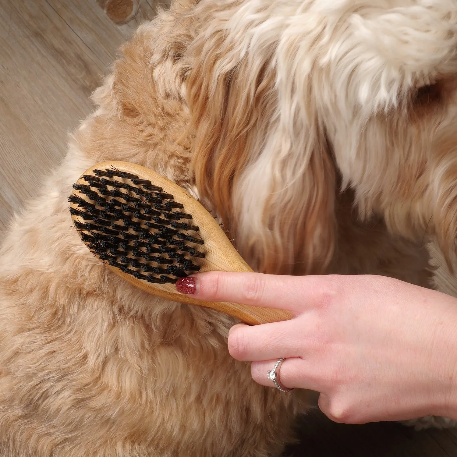 Two sided 2024 dog brush