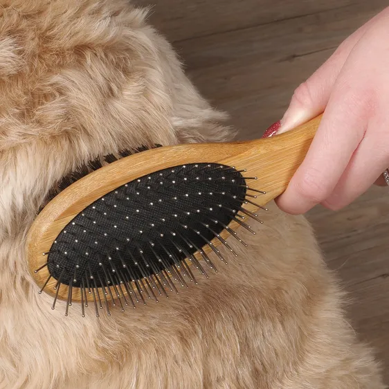 Double Sided Dog Brush - image 2