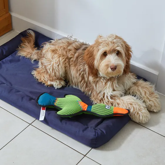 Durable Duck Dog Toy - image 1