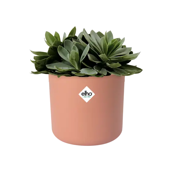 elho b.for Soft Delicate Pink Pot - Ø14cm - image 2