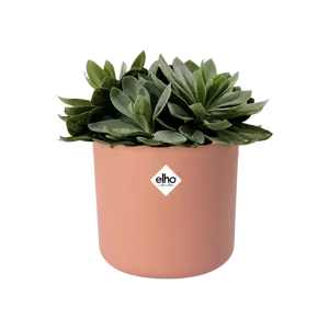 elho b.for Soft Delicate Pink Pot - Ø14cm - image 2