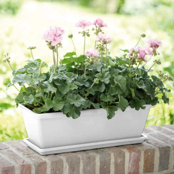 elho Barcelona White Trough 50cm - image 1