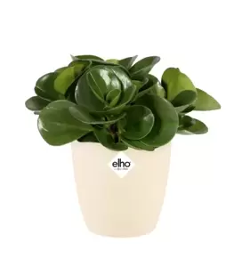 elho Brussels Soap Mini Pot - Ø10cm - image 2
