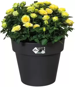 elho® Green Basics Top Planter 30cm Living Black - image 2