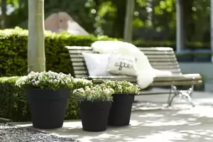 elho® Green Basics Top Planter 30cm Living Black - image 3