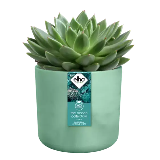 elho The Ocean Collection Pacific Green Pot - Ø16cm - image 2