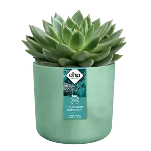 elho The Ocean Collection Pacific Green Pot - Ø18cm - image 2