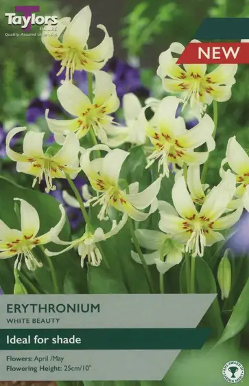 Erythronium White Beauty