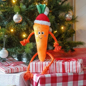 Festive Carrot Rope Toy