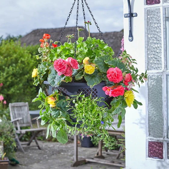 FlowerPro Cut Out Hanging Basket - image 1