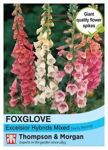Foxglove Excelsior Hybrids Mixed - image 1