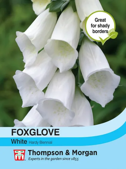 Foxglove White - image 1