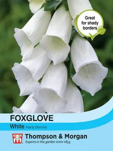 Foxglove White - image 1