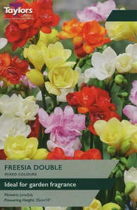 Freesia Mixed Doubles