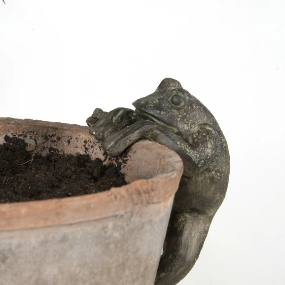 Frog Pot Hanger