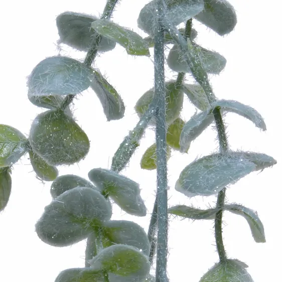 Frosted Eucalyptus Garland - image 2