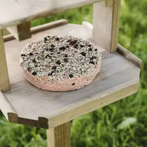 Gardman Berry Suet Cookie