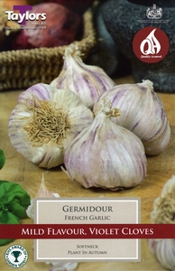 Garlic Germidour - French