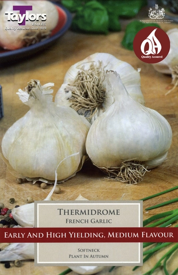 Garlic Thermidrome - French