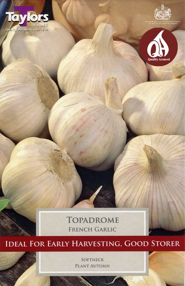 Garlic Topadrome - French