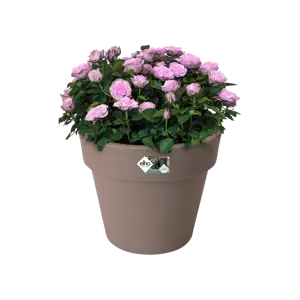 elho Green Basics Taupe Planter Ø23cm - image 2