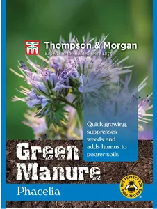 Green Manure Phacelia - image 1