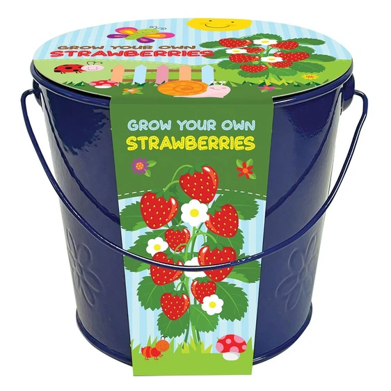 Grow Your Own Strawberries