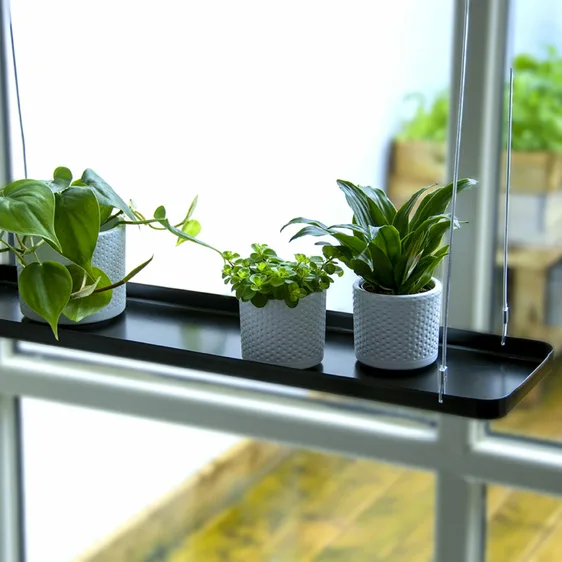 Rectangular Hanging Plant Tray - Black (L) - image 1