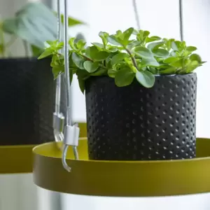 Round Hanging Plant Tray - Gold (S)