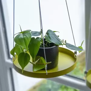 Round Hanging Plant Tray - Gold (L) - image 3