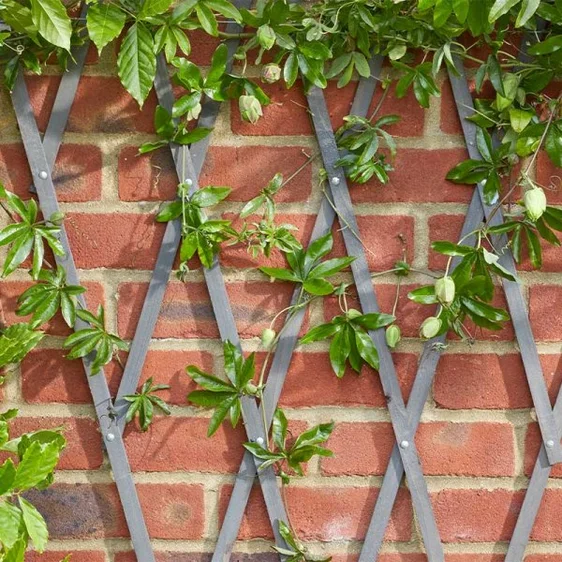 Heavy Duty Expanding Slate Trellis - 90cm - image 2