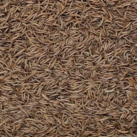 Henry Bell Mealworm 500g - image 2