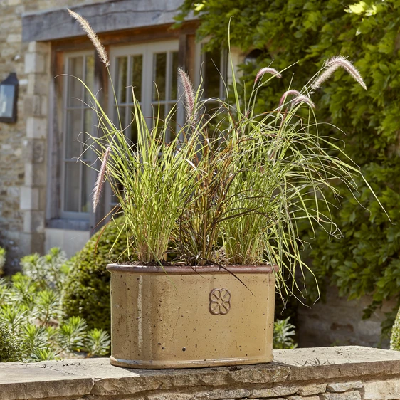 Hidcote Honey Trough 49cm - image 2