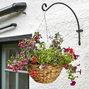 Hyacinth Hanging Basket - image 1