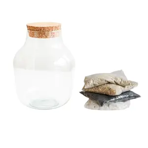 Ivyline Angluar Glass Terrarium Kit - image 2