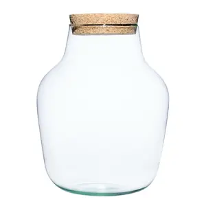 Ivyline Angluar Glass Terrarium Kit - image 1