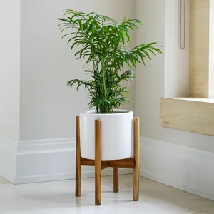 Ivyline Anzio Planter with Wooden Stand - Stone White - image 1