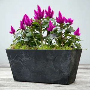 Ivyline Ella Balcony Trough - Black - image 1