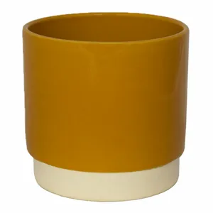 Ivyline Eno Mustard Pot - Extra Small - image 2