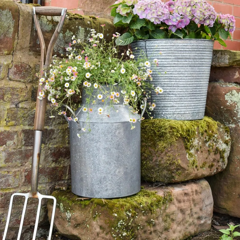 Ivyline Galvanised Milk Churn Planter - Cowell's Garden Centre 