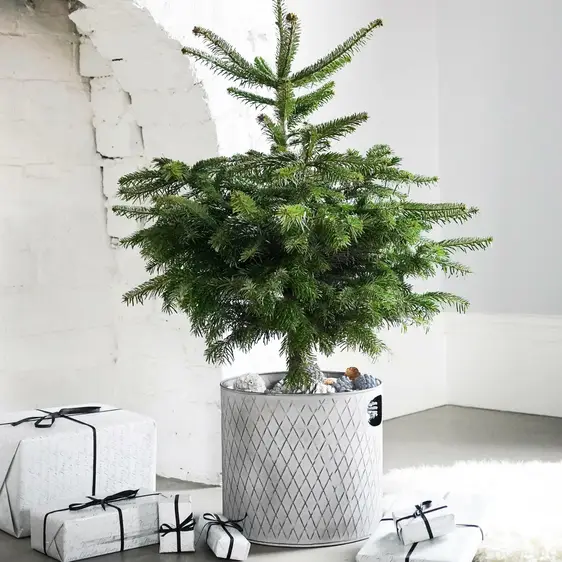 Ivyline Indoor Zinc Christmas Tree Bucket Ø23cm - image 1