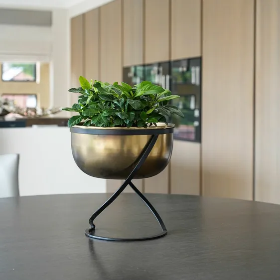 Ivyline Kensington Round Planter on Stand - Wide - image 1