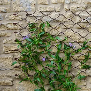 Ivyline Plant Trellis Bronze - Large