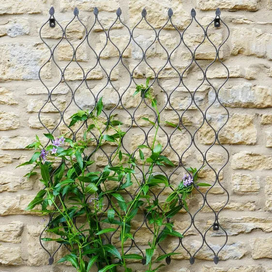 Ivyline Plant Trellis Zinc - Large - image 3