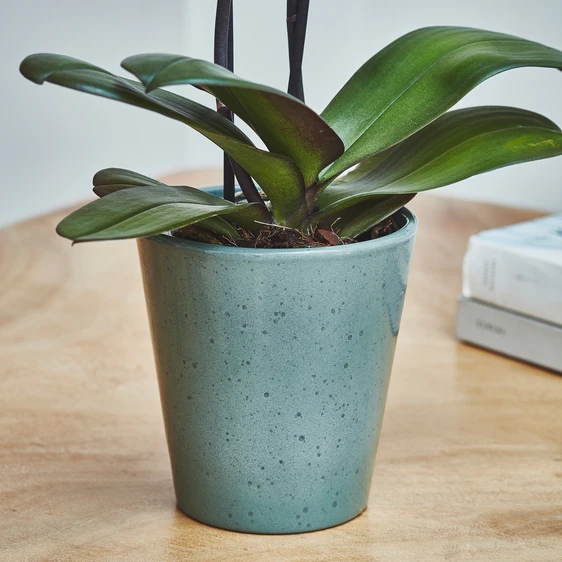 Ivyline Reactive Glaze Orchid Planter - Green - image 1