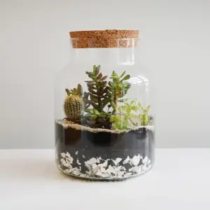 Ivyline Terrarium Jar Kit - image 3