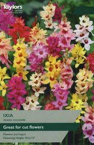 Ixia Mixed