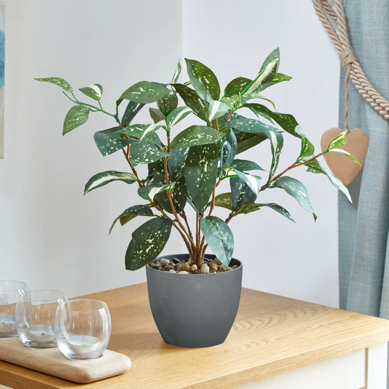 Japanese Laurel Artificial Plant